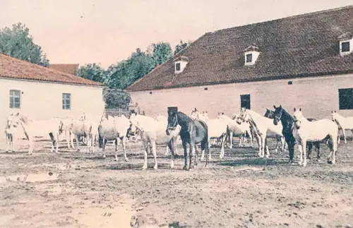 Képgaléria – 63