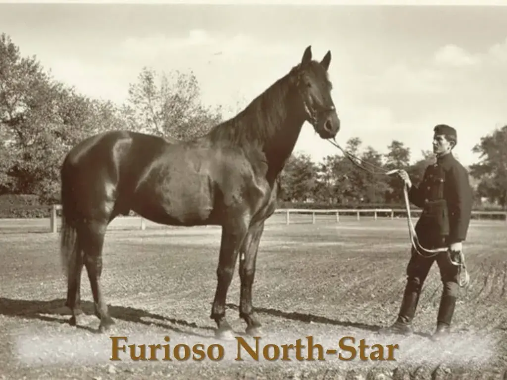Furioso–North Star – 3