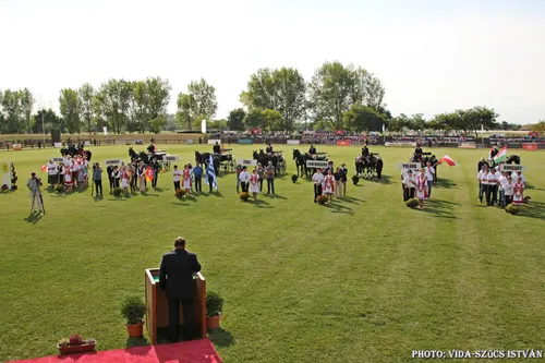 Képgaléria – 3