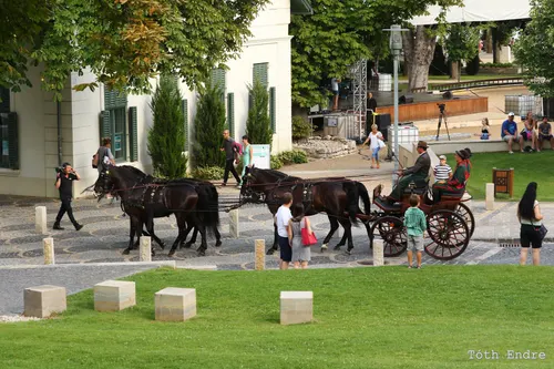 Képgaléria – 6