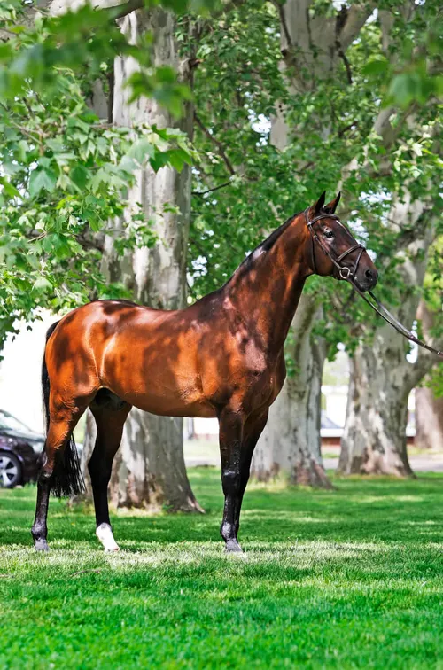 Képgaléria – 11