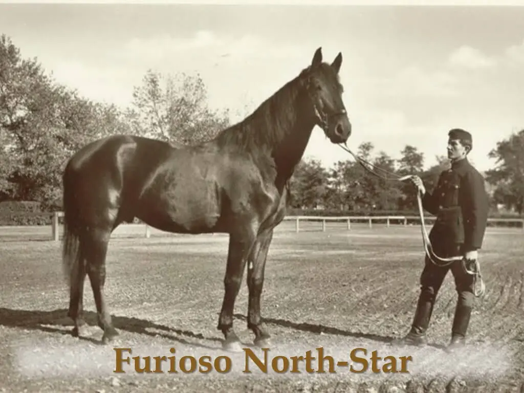 Furioso–North Star – 10