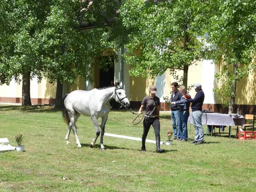 Képgaléria – 4