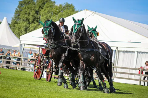 Képgaléria – 7