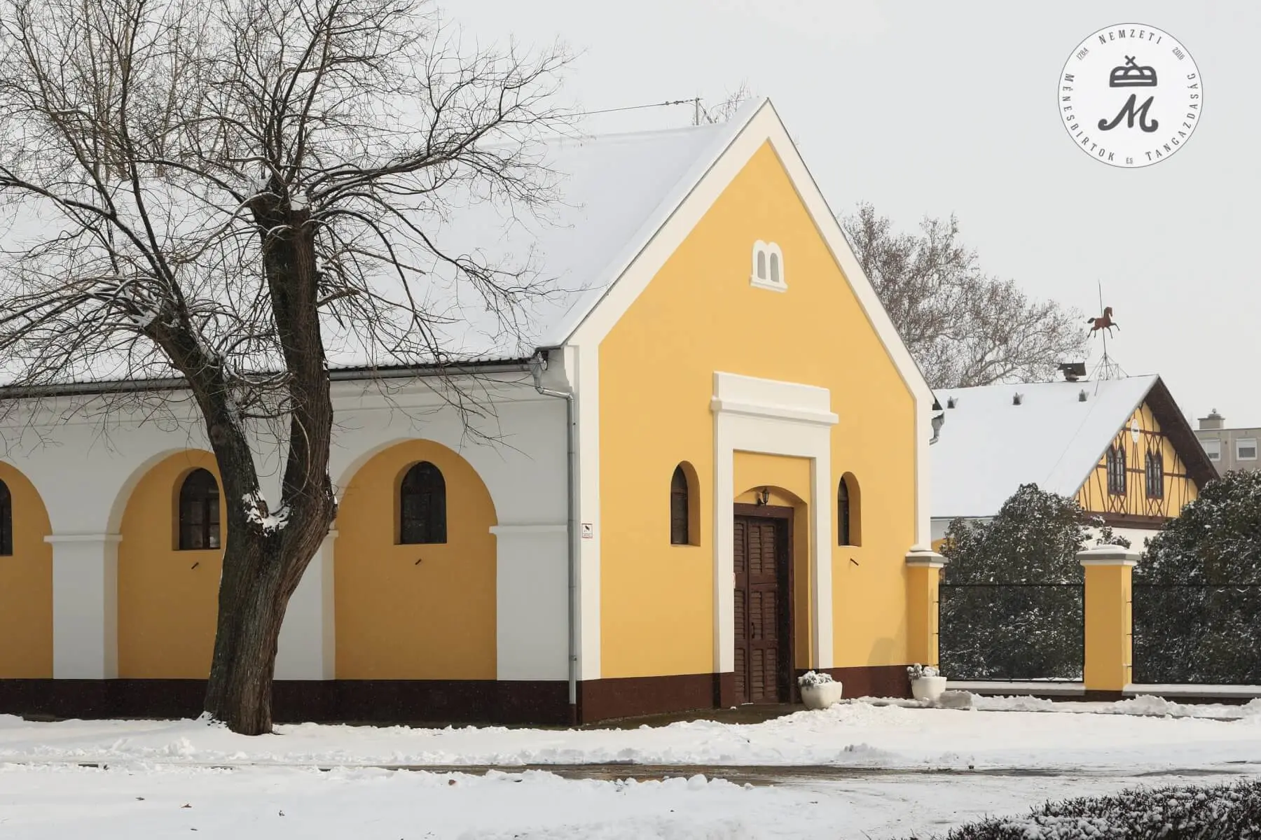 Hótakaró borítja a mezőhegyesi tájat – 6