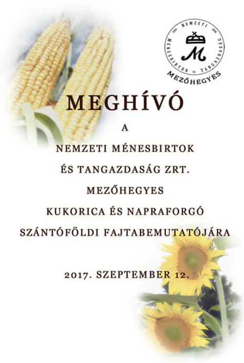 Képgaléria – 1