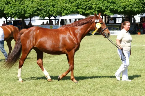 Képgaléria – 4