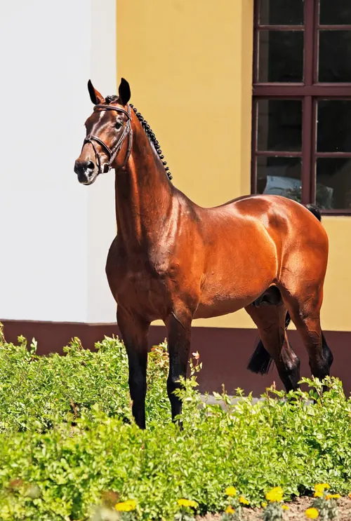 Képgaléria – 2