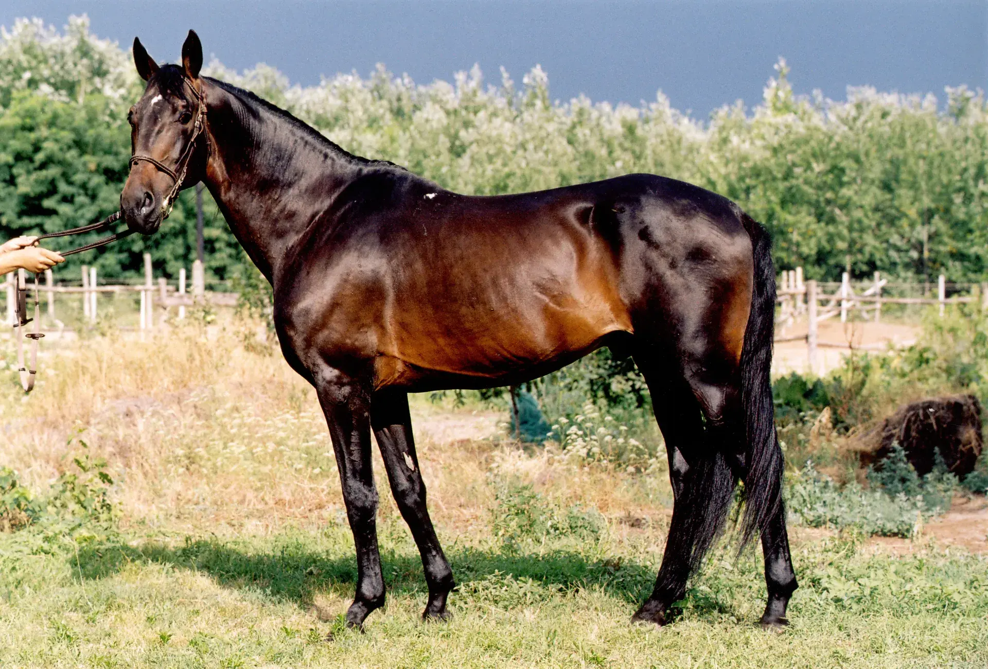 Furioso–North Star – 7