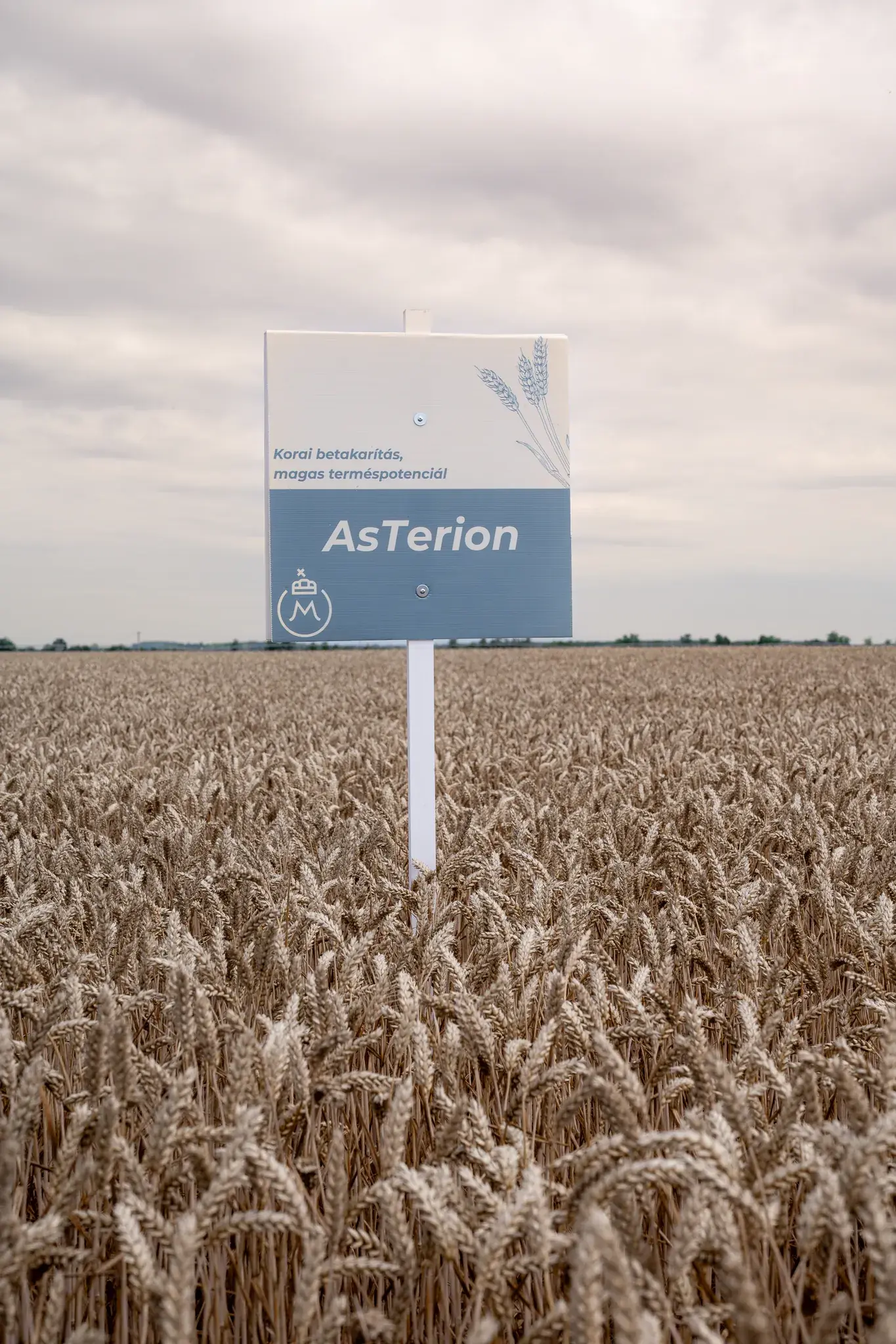 AsTerion – 15