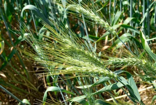 Képgaléria – 77