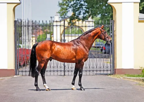 Képgaléria – 14