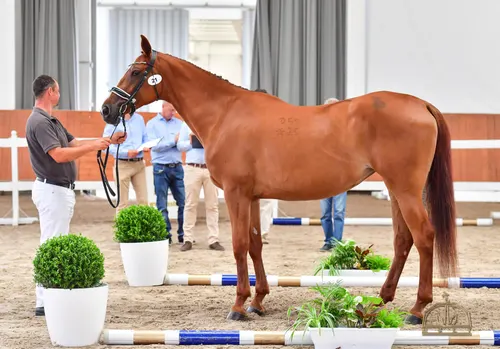 Képgaléria – 1