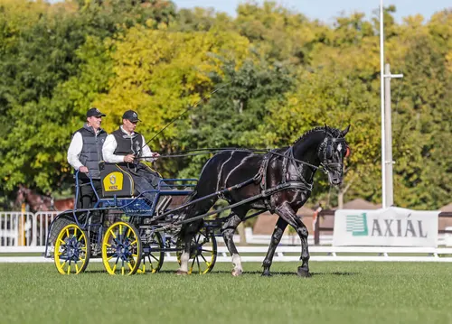 Képgaléria – 11