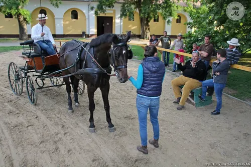Képgaléria – 16