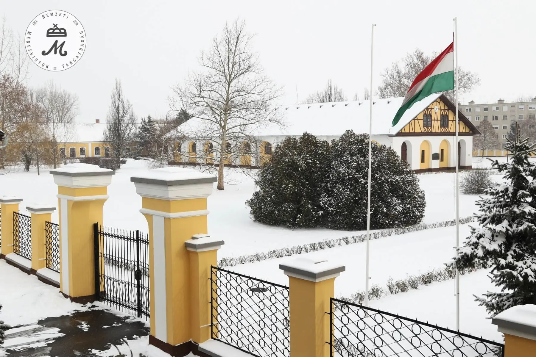 Hótakaró borítja a mezőhegyesi tájat – 3
