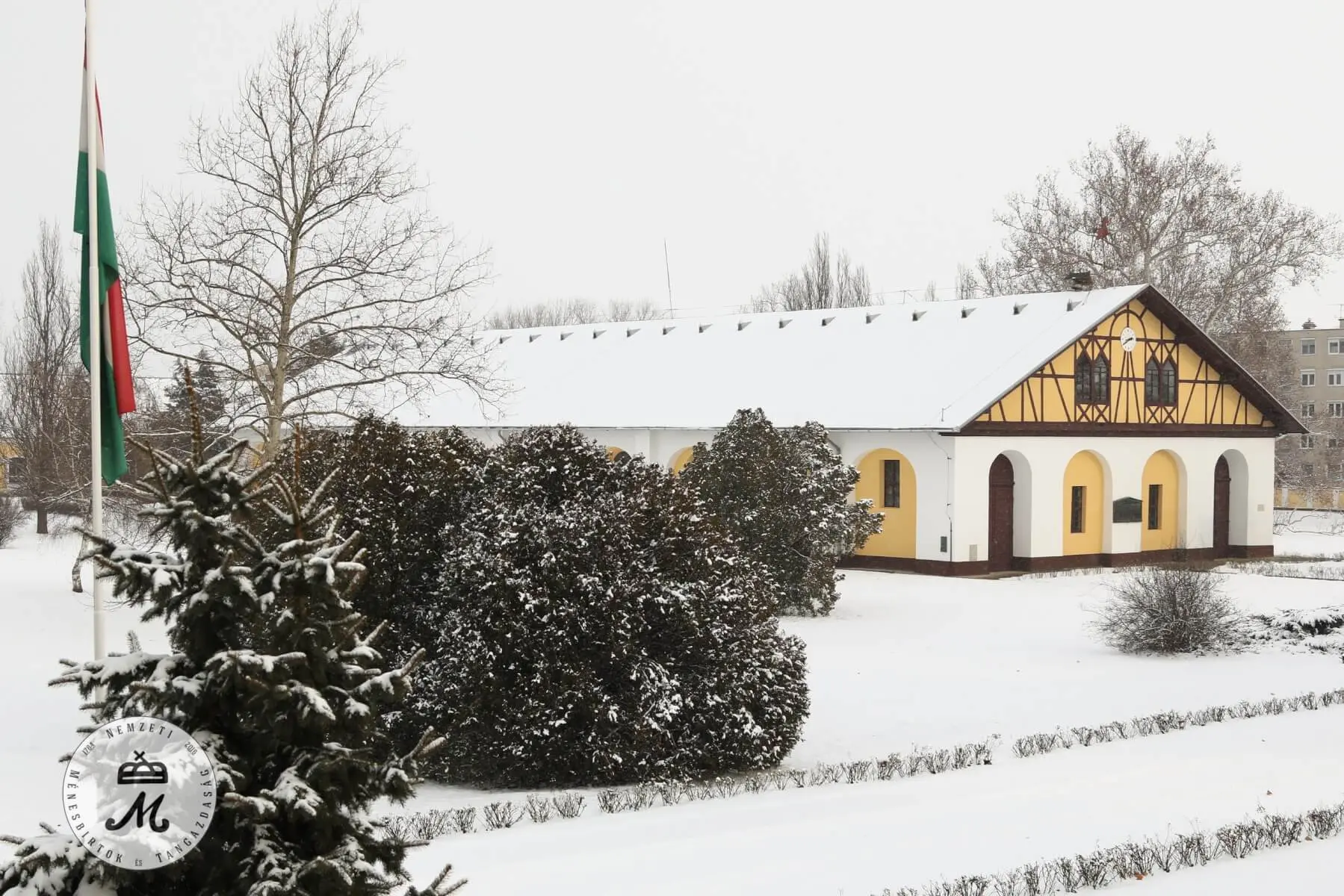 Hótakaró borítja a mezőhegyesi tájat – 4