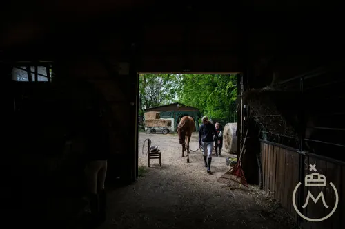 Képgaléria – 9